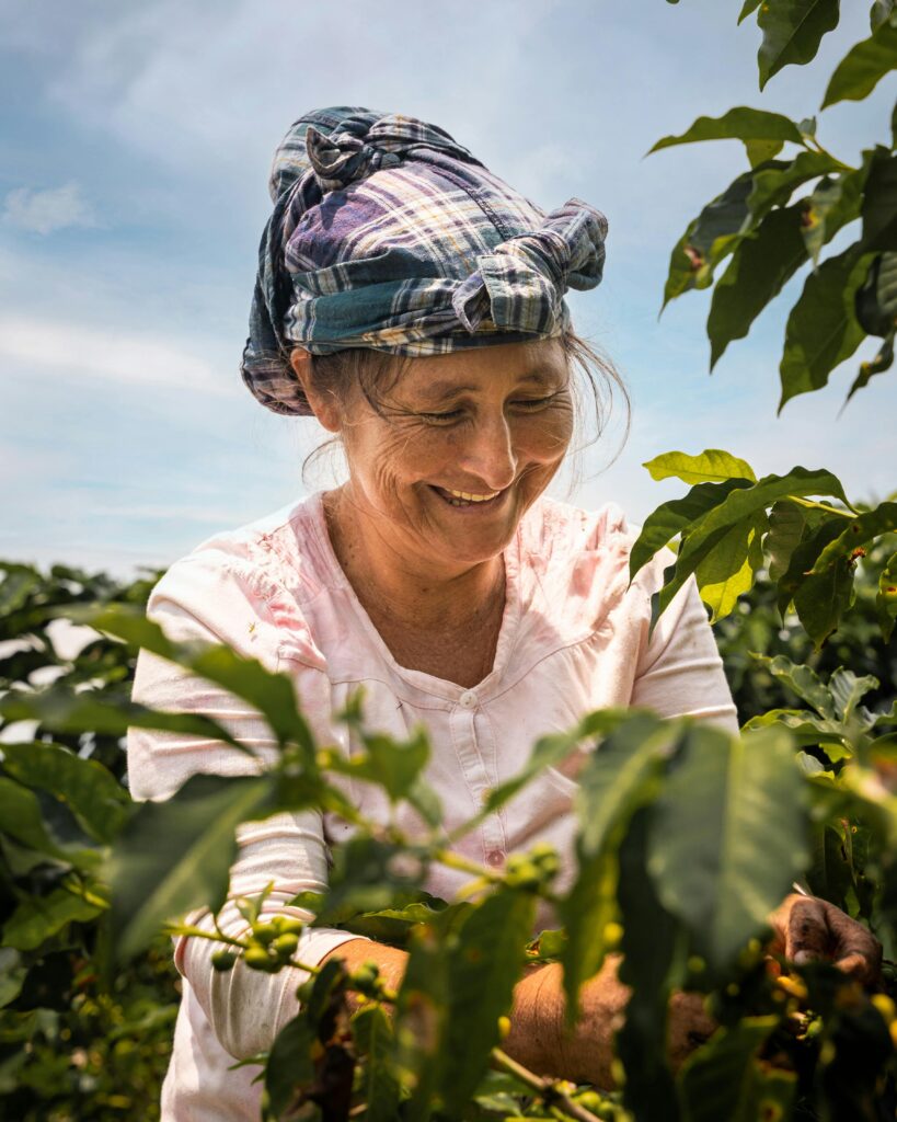 Producteur biologique de café de spécialité