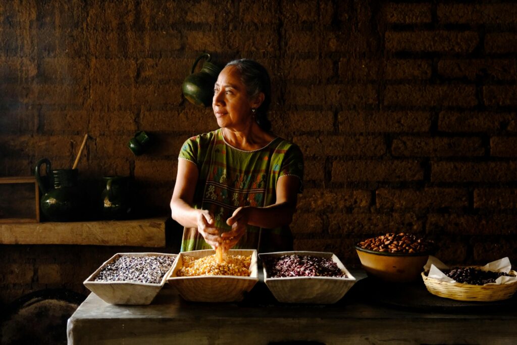 culture de l'écorce de cacao